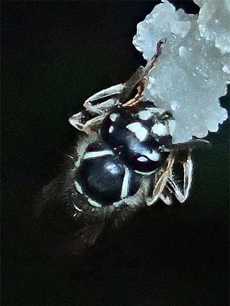 f0214649_437122.jpg