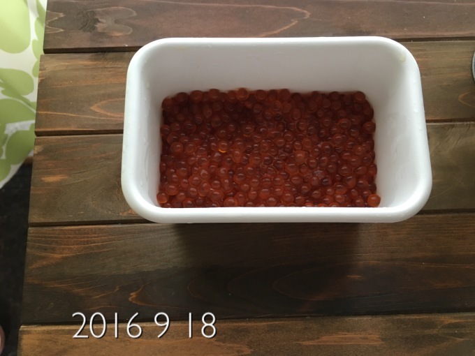 d0335156_09414112.jpeg