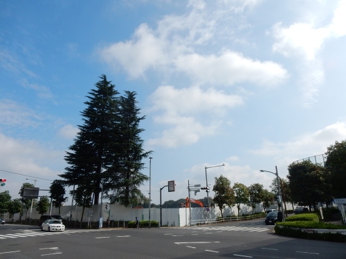 f0054677_06385374.jpg