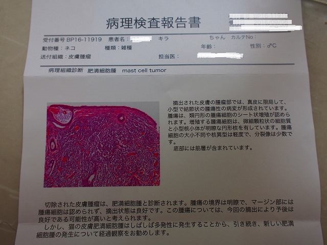 a0279382_1549408.jpg