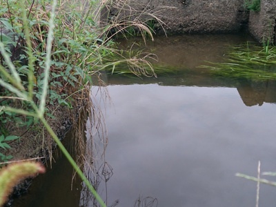 f0082402_20562449.jpg