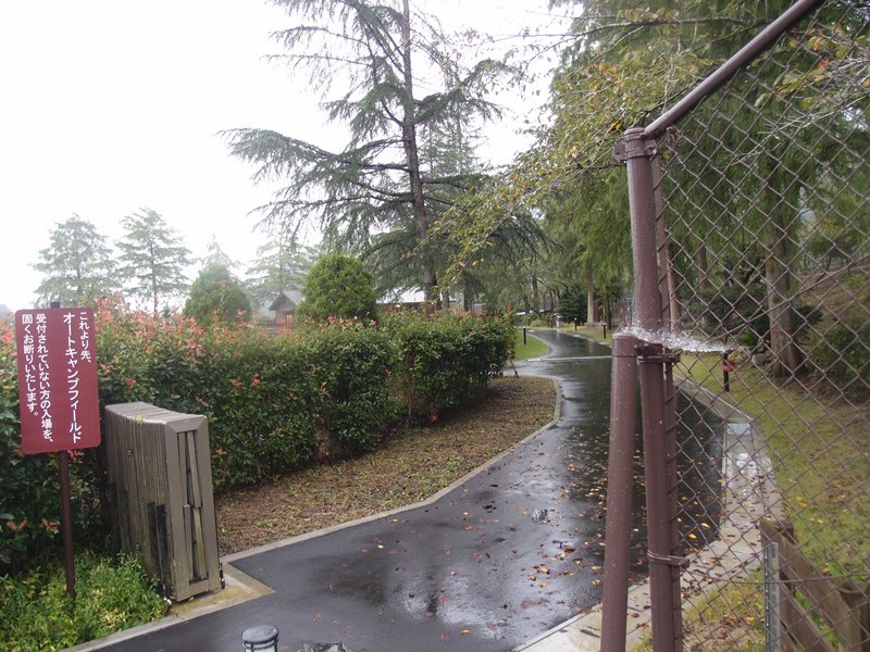 e0018604_10530715.jpg