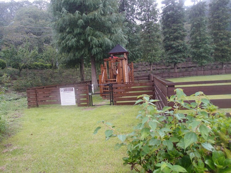e0018604_10531912.jpg