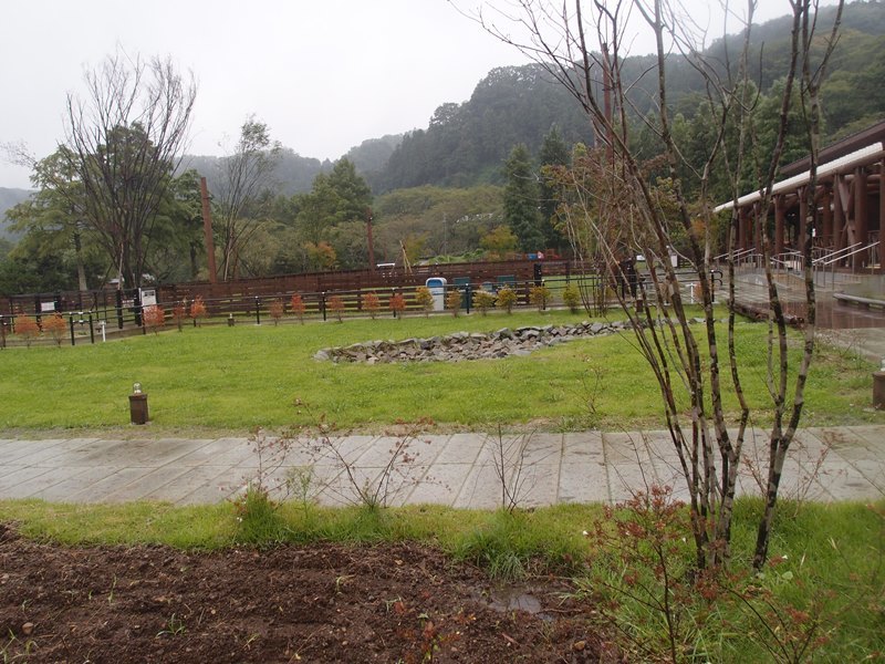 e0018604_10541935.jpg