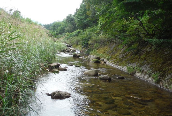 b0172805_10184798.jpg