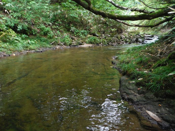 b0172805_10272861.jpg