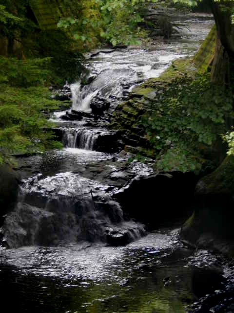 b0352112_17271617.jpg