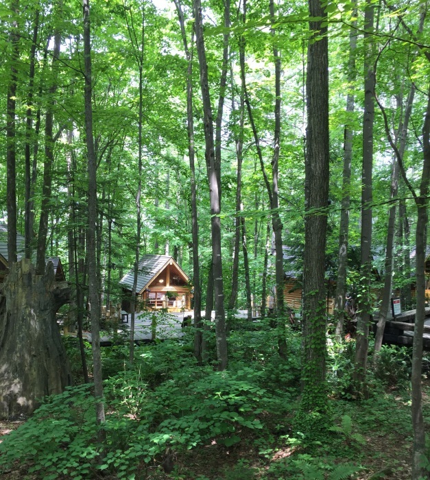 f0036018_18560657.jpg