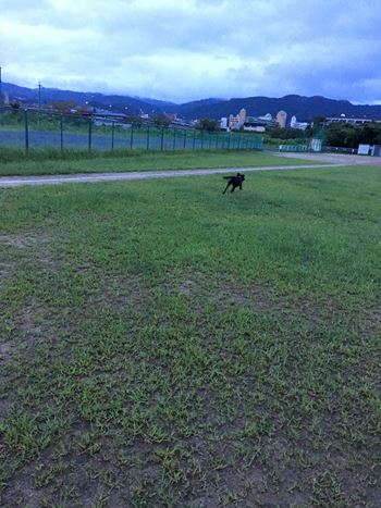 c0114121_0365897.jpg