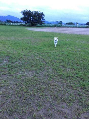 c0114121_036650.jpg