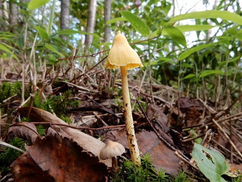 f0000521_5373172.jpg