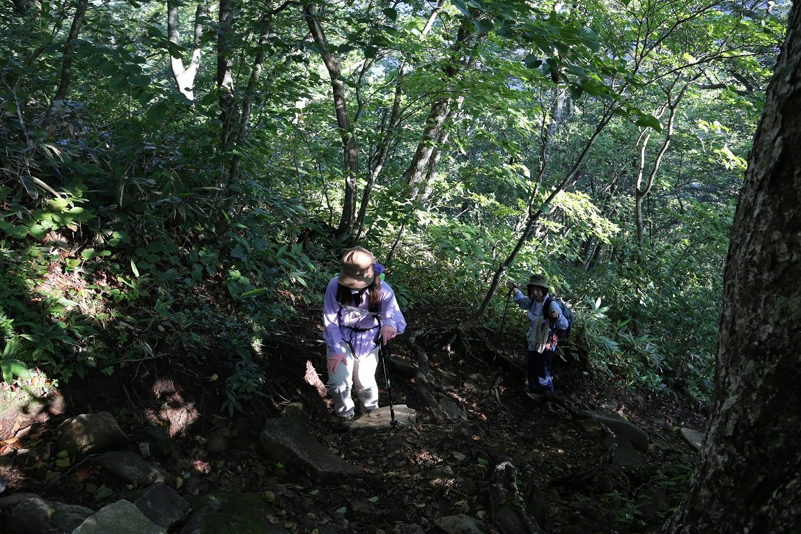 b0062024_22304645.jpg