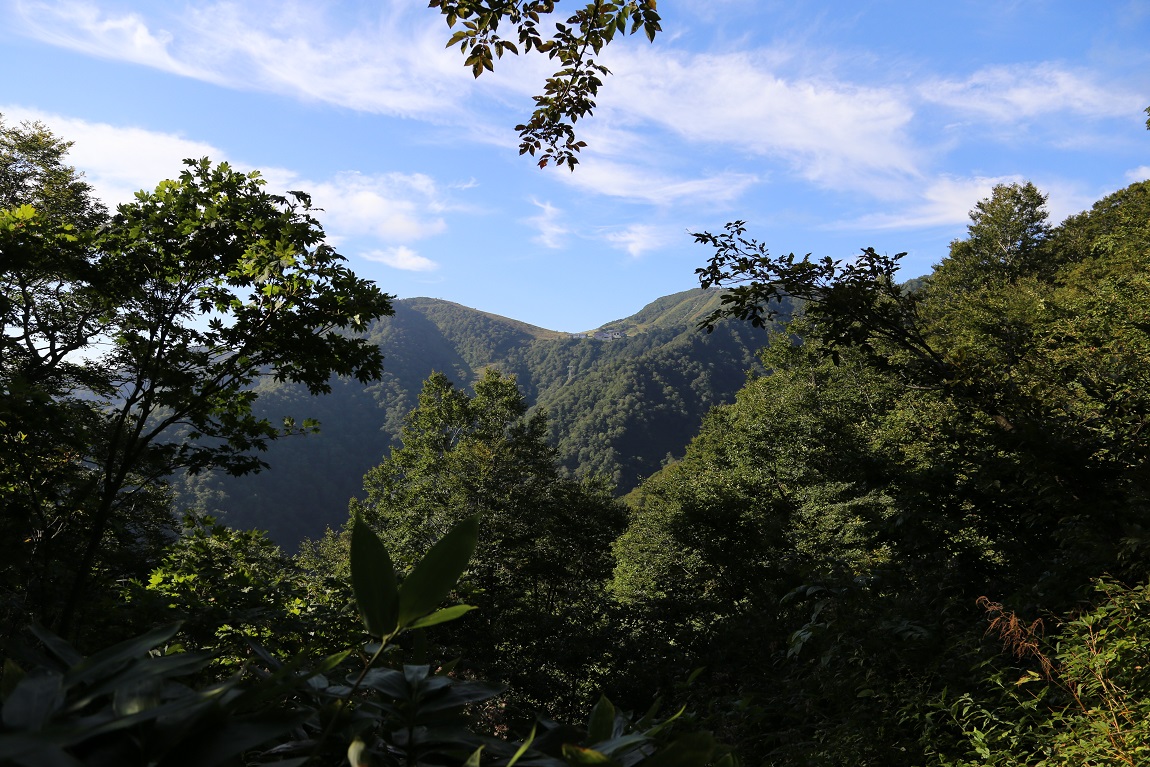 b0062024_22321055.jpg