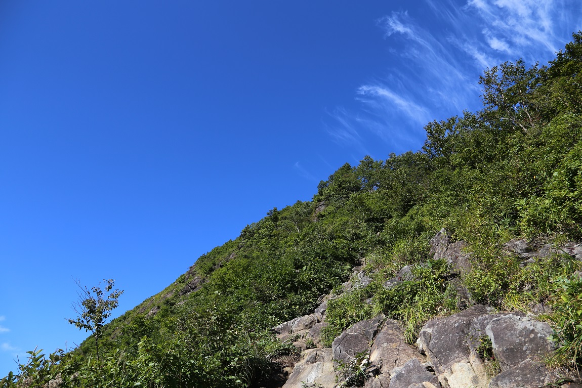 b0062024_22335336.jpg