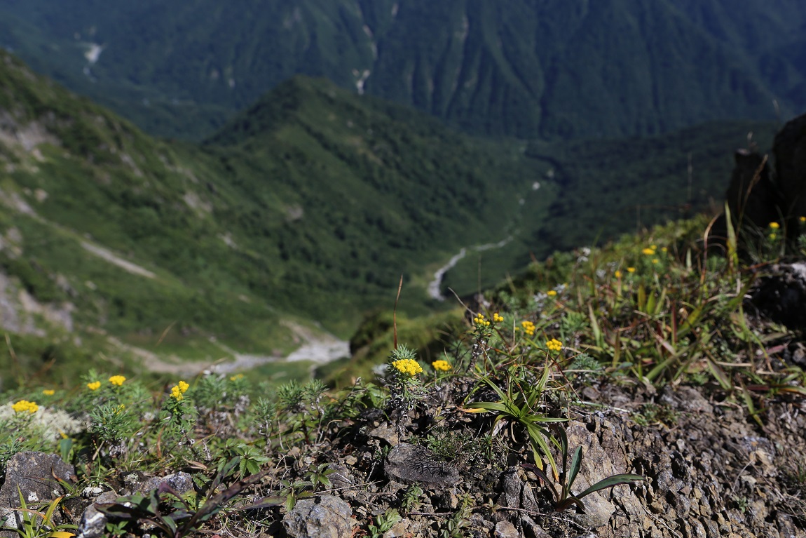 b0062024_22482912.jpg