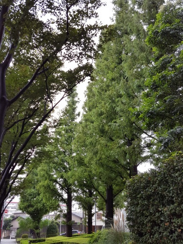 e0016828_13161473.jpg