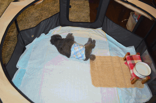 c0136736_10175040.gif