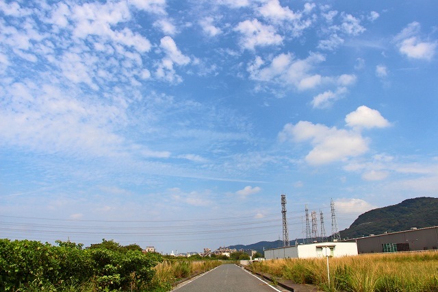 a0242438_20210855.jpg