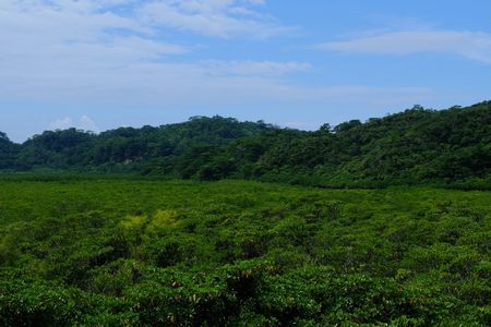 c0148238_00492017.jpg