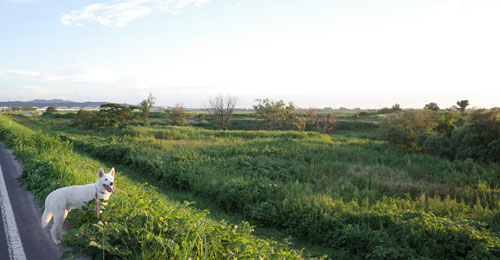 a0117039_20351048.jpg