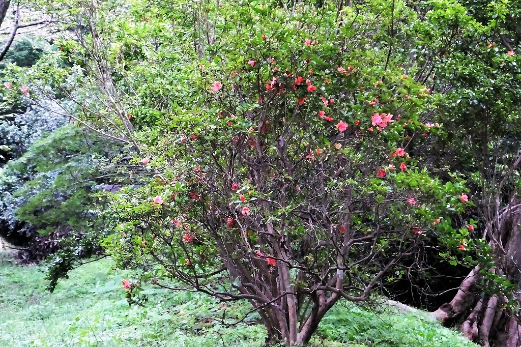 b0236251_11115249.jpg
