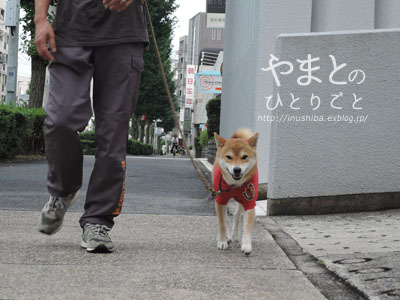 a0286855_625363.jpg