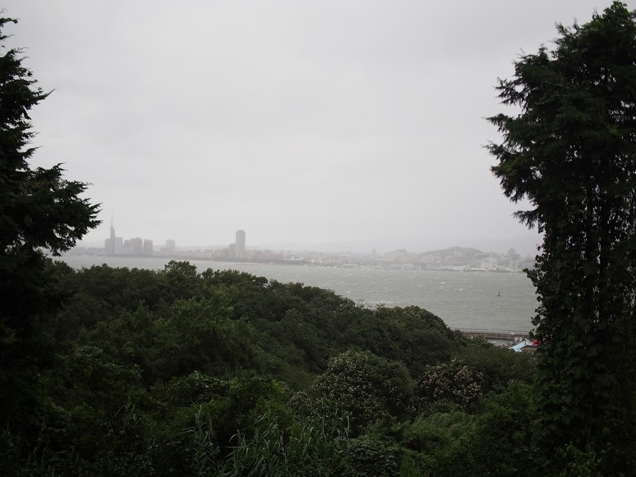 f0201157_23181734.jpg