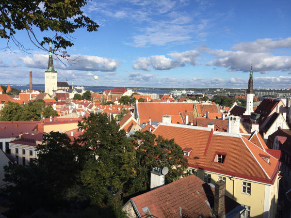 d0158258_12080828.jpg