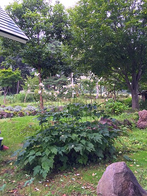e0001860_22244313.jpg