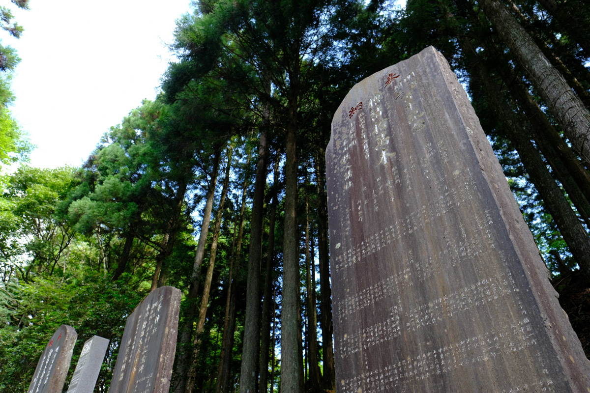 c0084666_21500535.jpg
