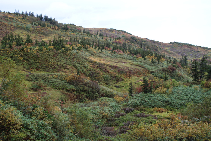f0223068_12394216.jpg