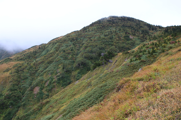 f0223068_12432519.jpg