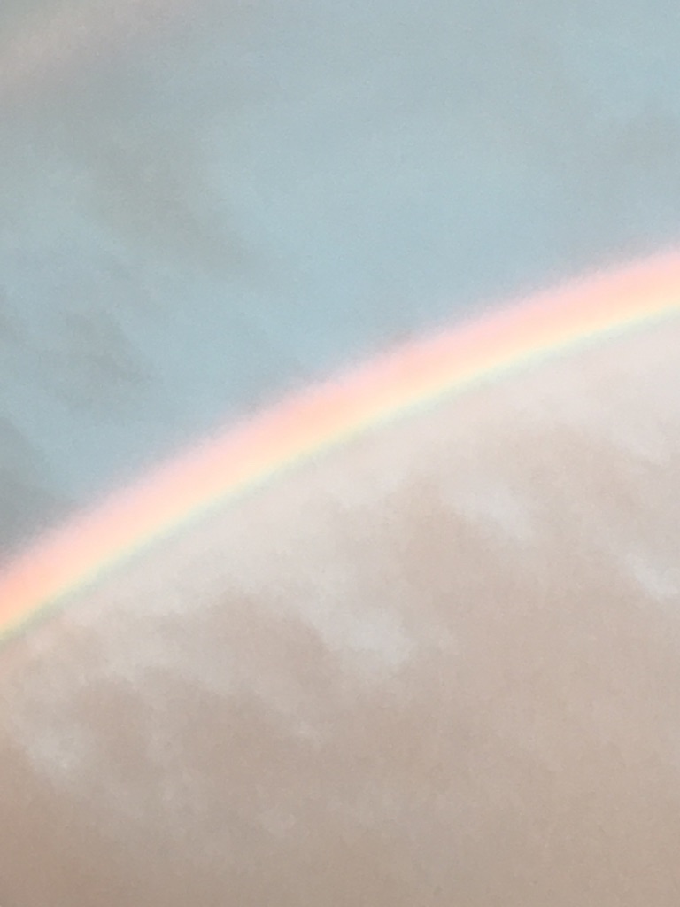 b0107769_15122775.jpg