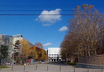b0171771_07030398.jpg