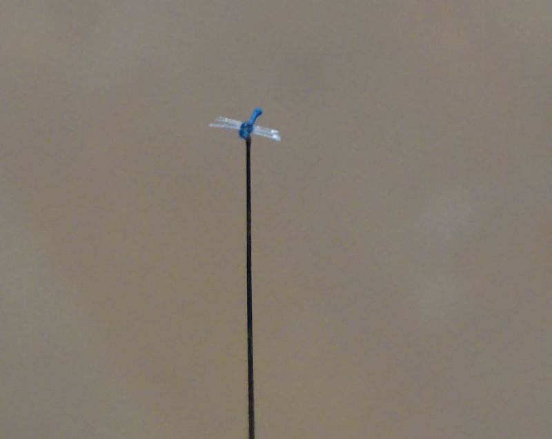 a0160573_03212670.jpg