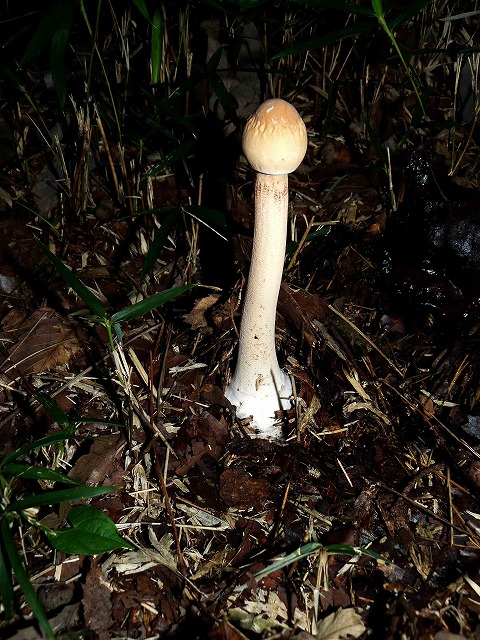 d0019074_714090.jpg