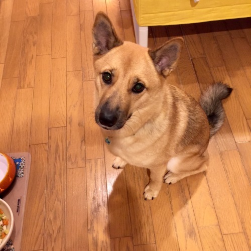 c0364176_18293637.jpeg