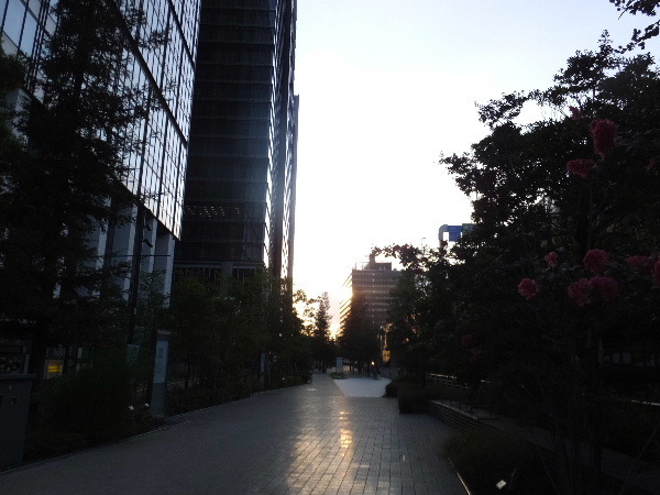 e0351590_22504884.jpg