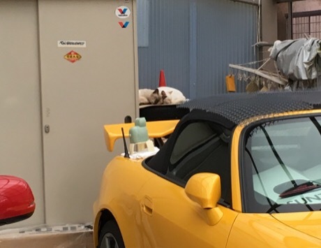b0035391_22390452.jpeg