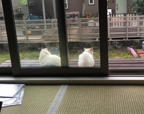 b0035391_22404751.jpeg