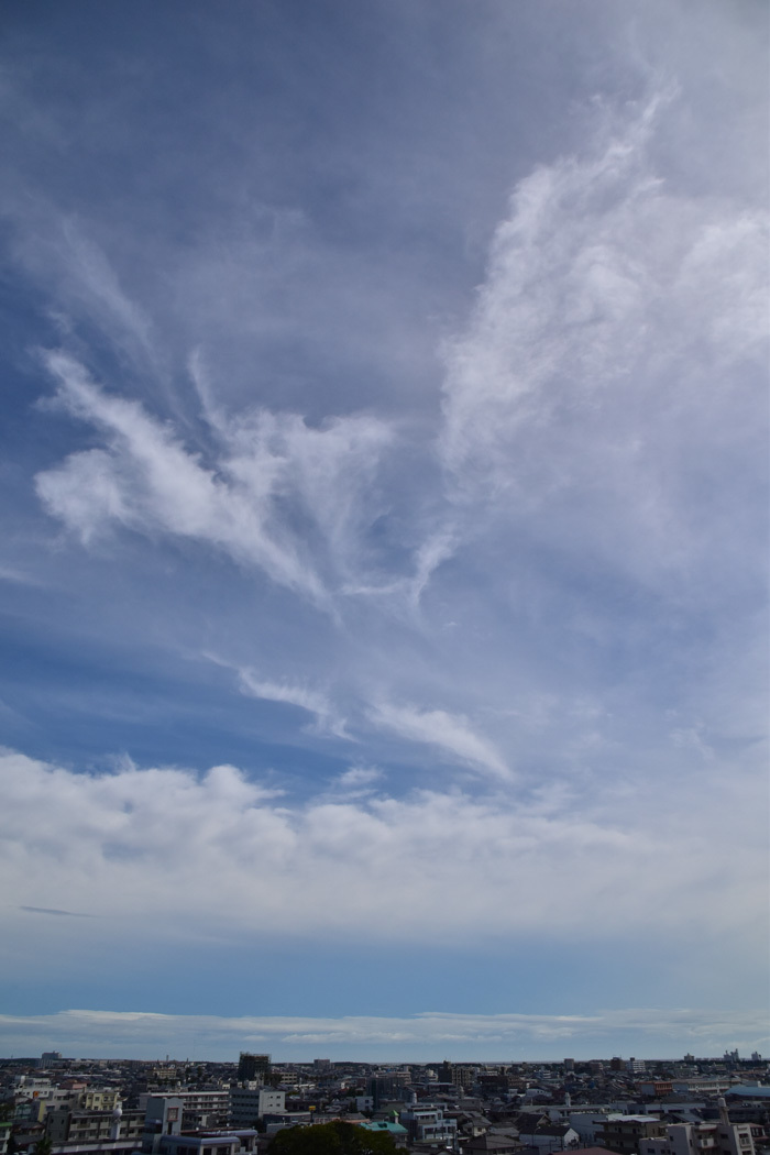 c0049299_21481520.jpg