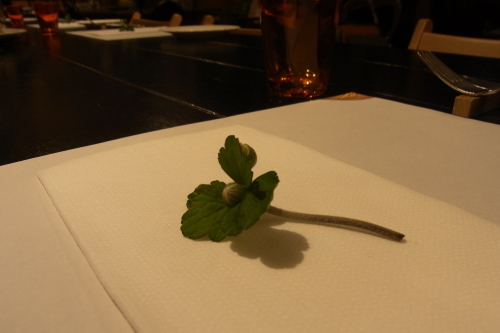 b0101300_13201497.jpg