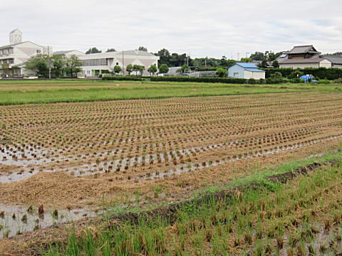 d0046702_18491969.jpg