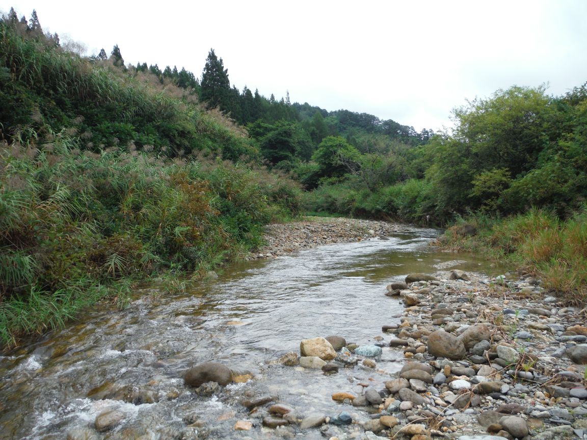 b0172805_8221413.jpg