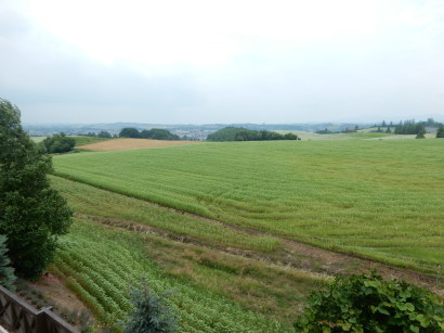 d0200811_08391530.jpg