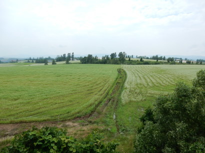 d0200811_08395140.jpg