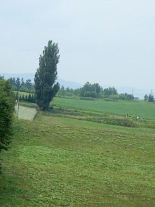 d0200811_08434872.jpg