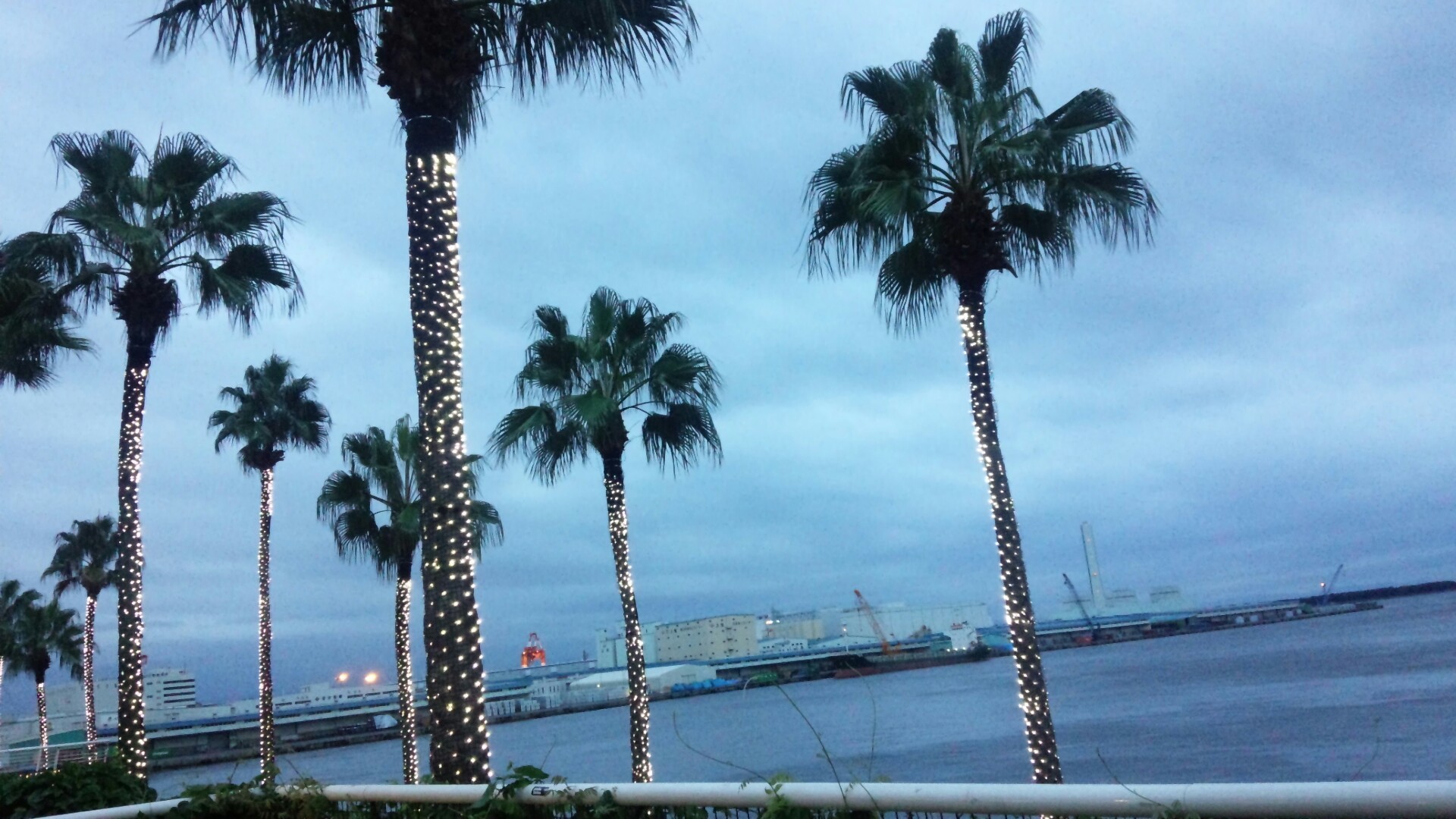 a0286520_08541237.jpg