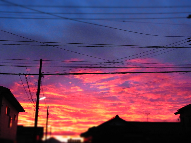 a0305046_09462133.jpg