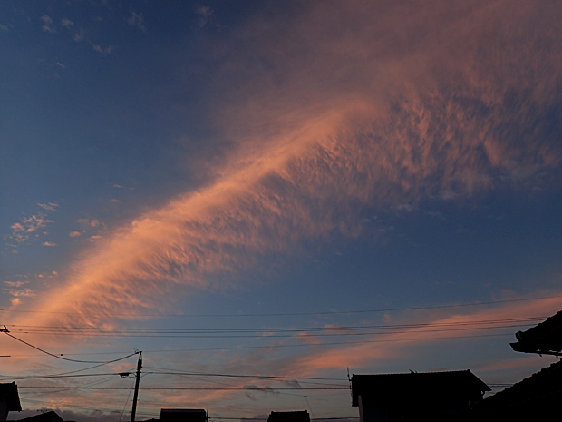 f0214649_1482071.jpg